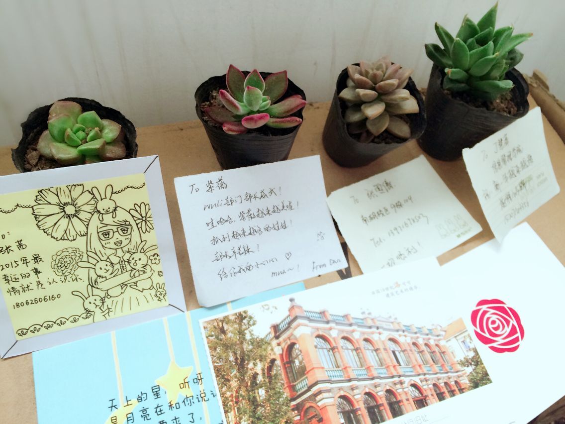 绿植及明信片展示